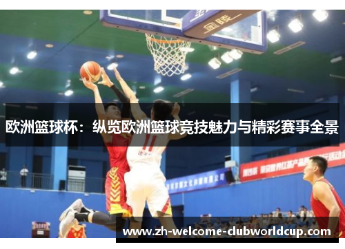 欧洲篮球杯：纵览欧洲篮球竞技魅力与精彩赛事全景